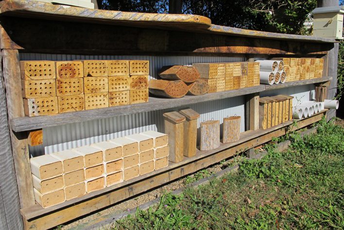 Kin Kin Native Bees gallery