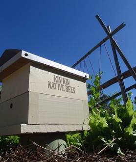 Kin Kin Native Bees gallery